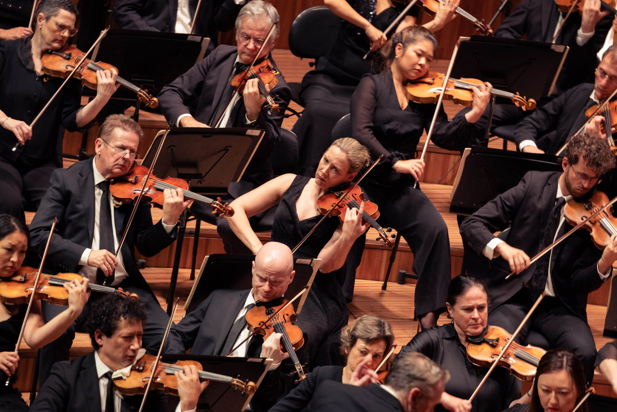 15 years of the Australian World Orchestra